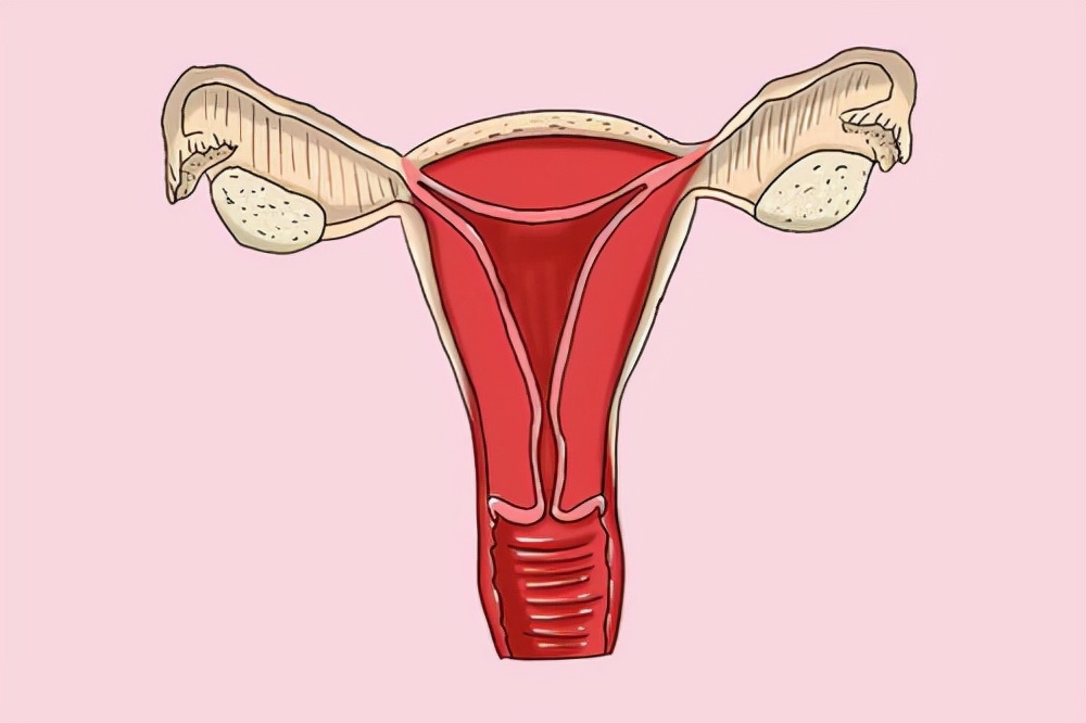 节育环不取出来，会长进肉里吗？妇科医生：最晚别超这个年龄取出