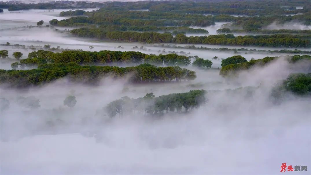 湿地可以开发什么旅游项目,黑龙江旅游必去十大湿地排名