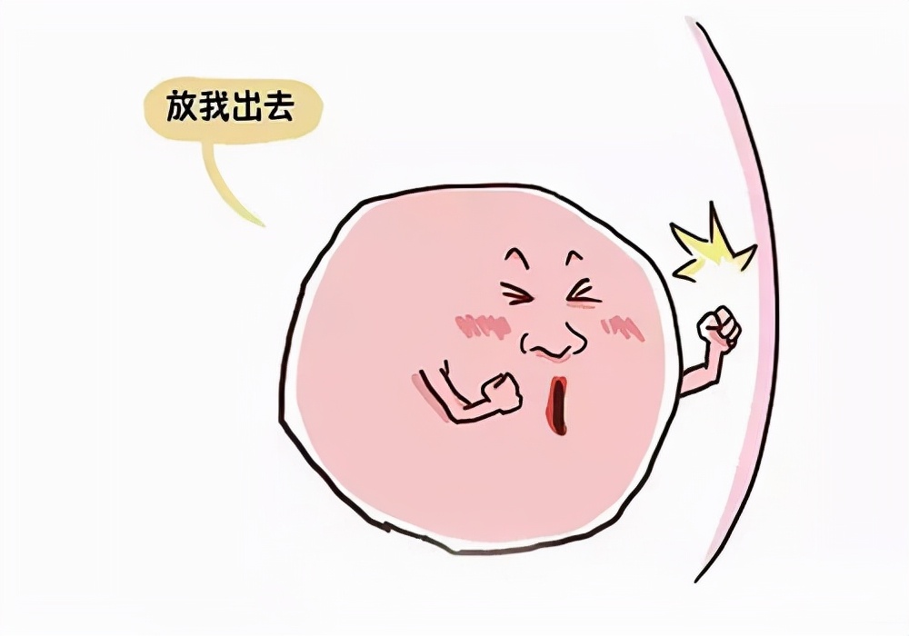 做试管取出来的卵质量不好怎么办,做试管取完卵月经紊乱是怎么回事