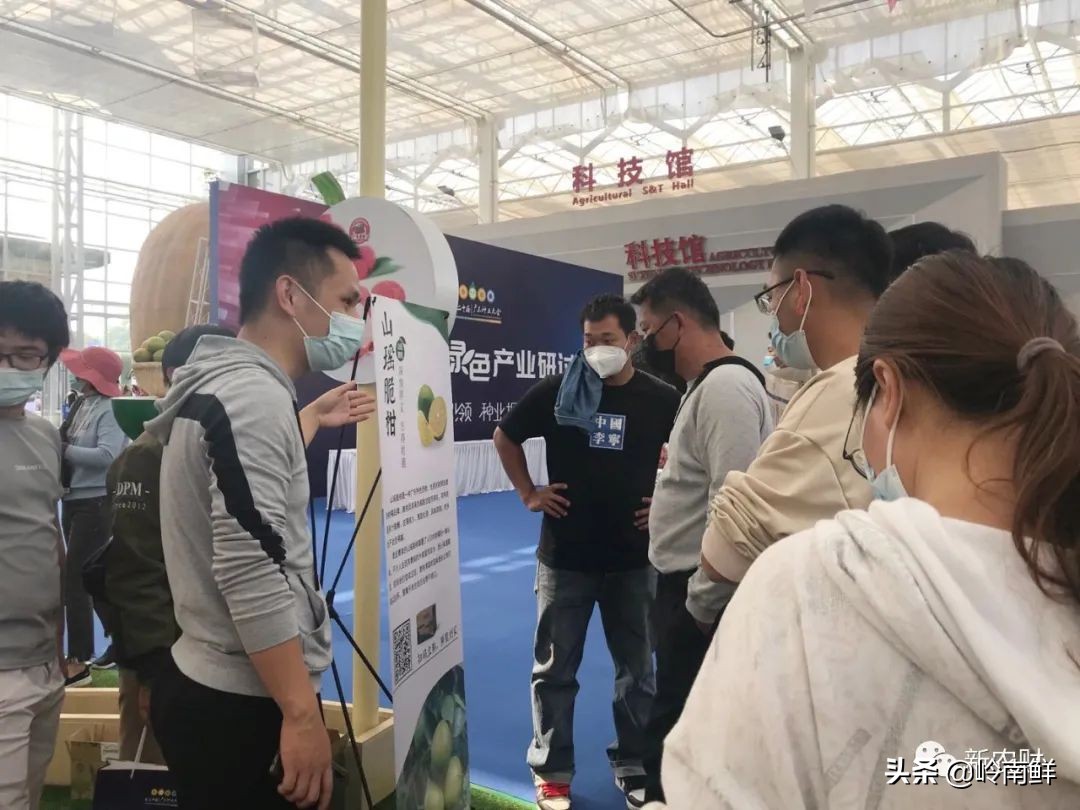 好产品卖到哪才有高溢价？广东种博会“粤字号”六大水果又火了