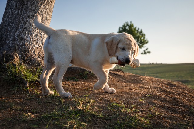 三无产品泛滥成灾,农村地区三无产品整治
