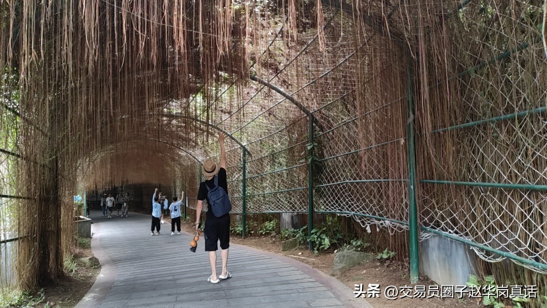 急于赚钱又急于解套,急于赚大钱的人会有什么后果