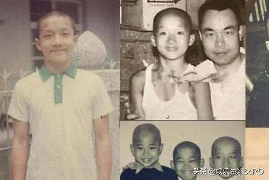 曾志伟为啥是港圈掌门人,曾志伟履历