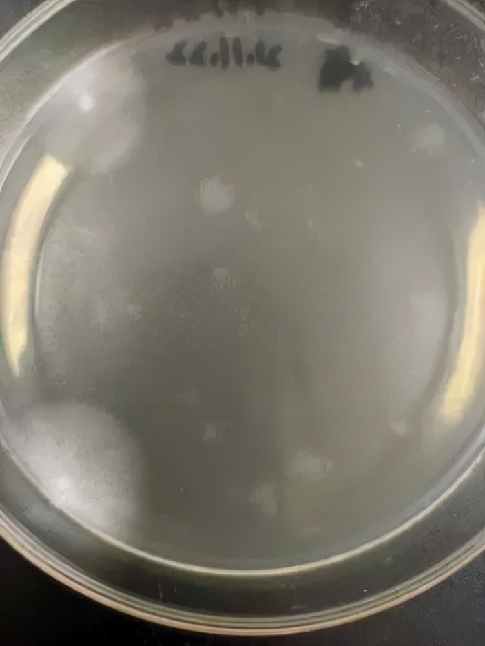 水产养殖霉菌怎么处理,水产养殖杀水霉方法