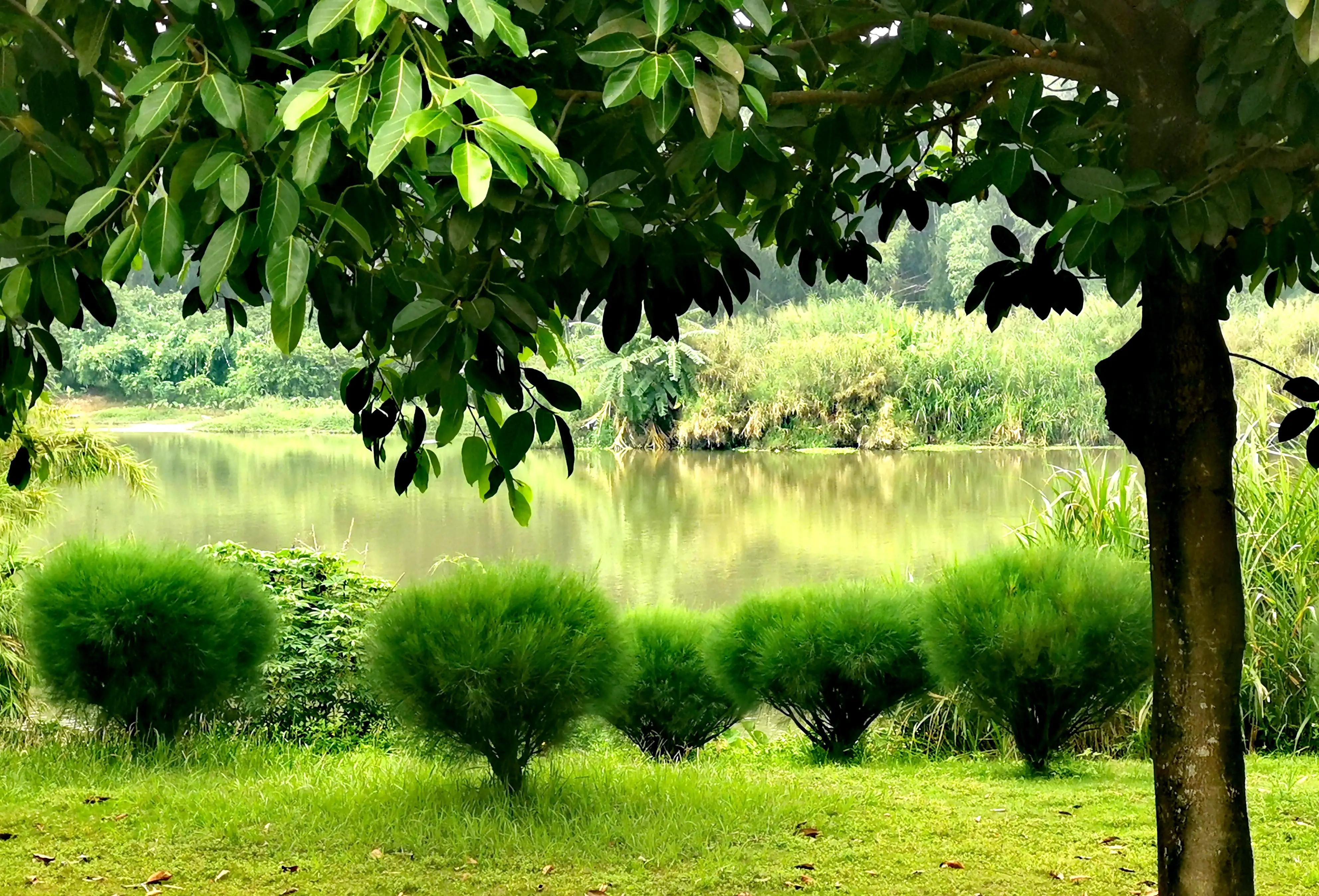 漳州市美丽的小镇,漳州长泰区旅游