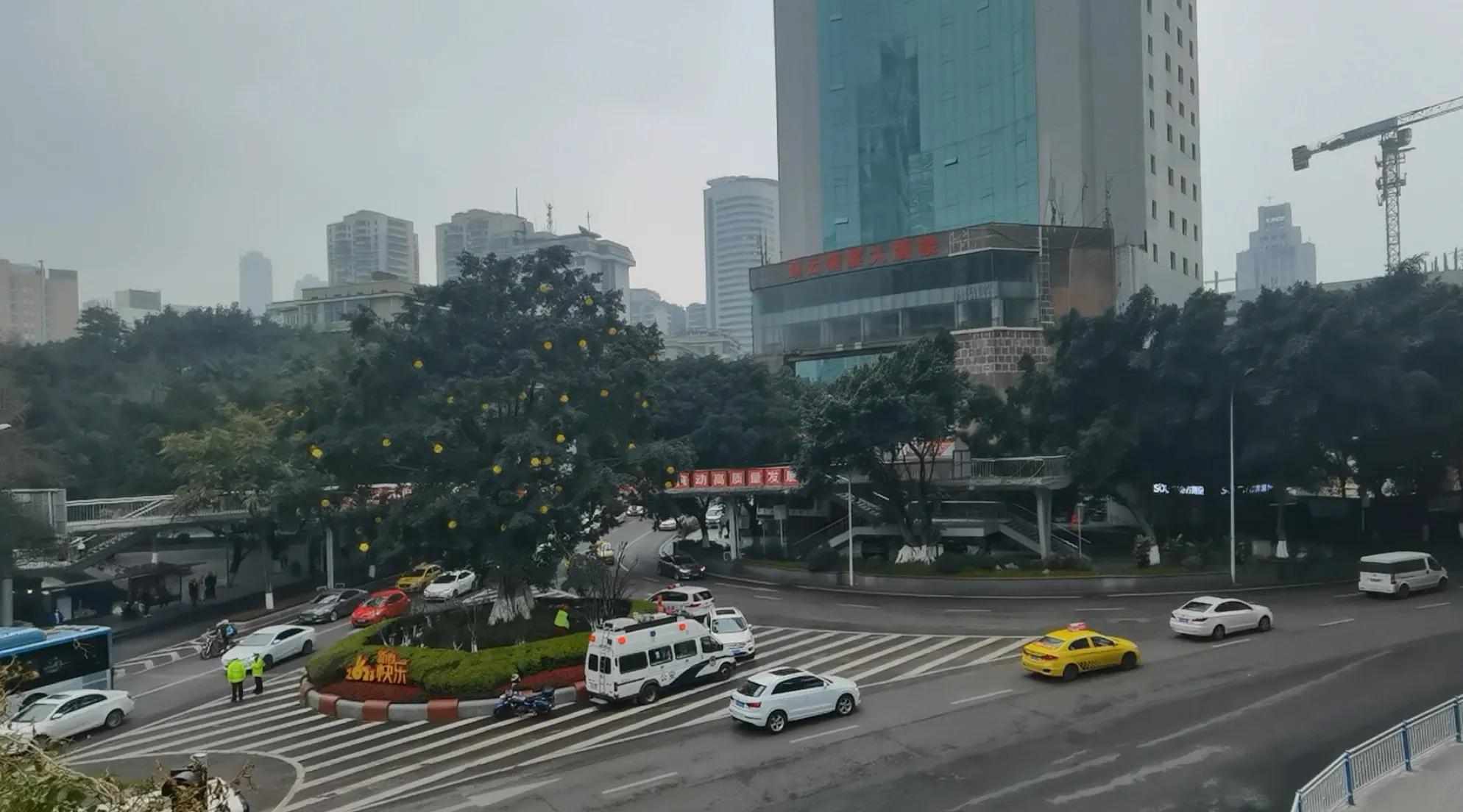 春游开拓眼界,春游樱花广场图片