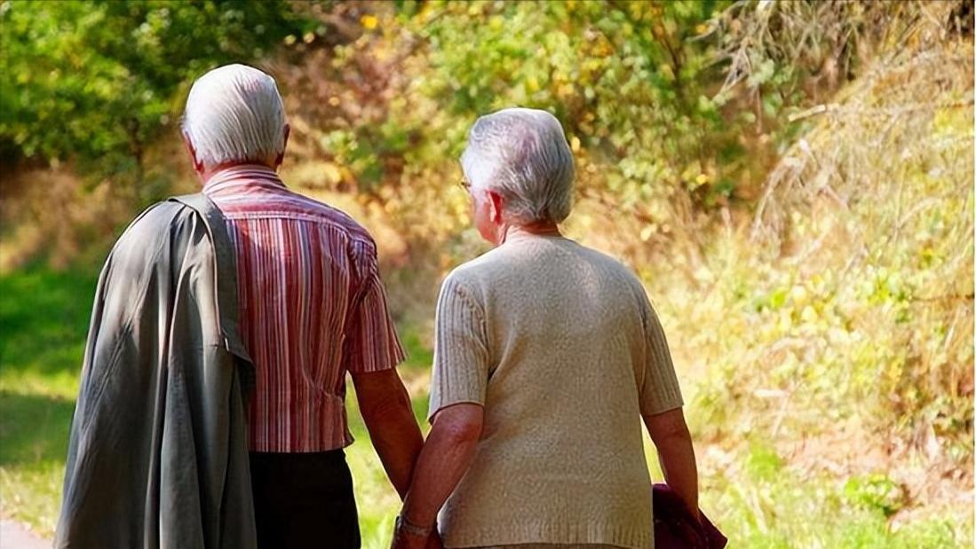 老年人免费旅行团有哪些,年轻人加入老年旅游团真的好