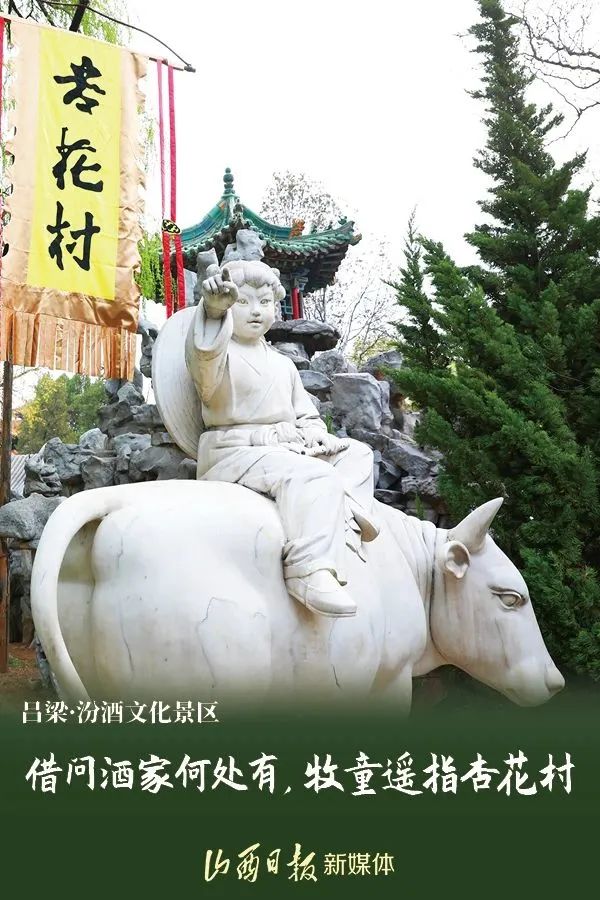 太原人探寻美食,太原人文之美