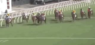 郭富城赛马花多少钱,郭富城赛马赢一亿新闻