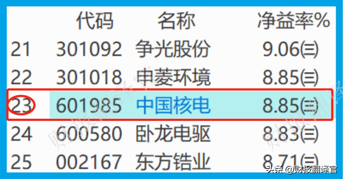 中国核电第一大股票,中国核电毛利率