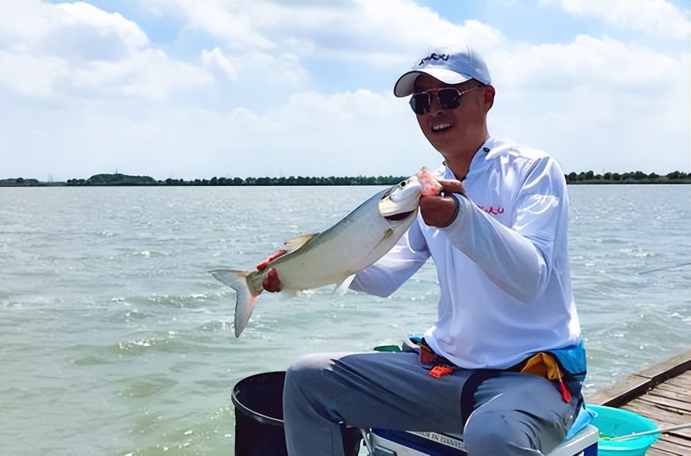 自动钓鱼设备哪个最好,钓鱼新型渔具推荐