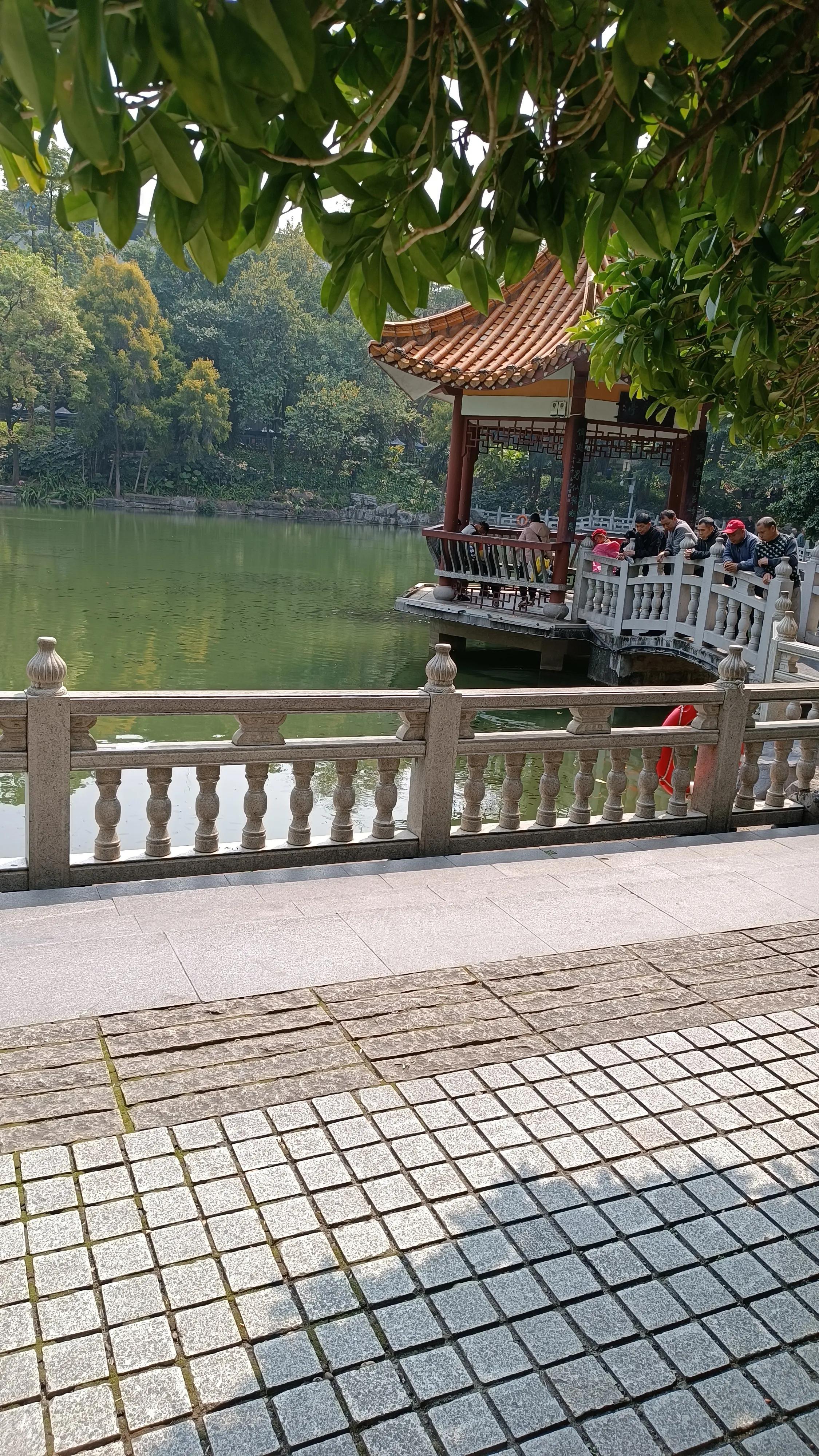 劳动公园群魔乱舞大妈去哪跳了,沈阳劳动公园大爷大妈