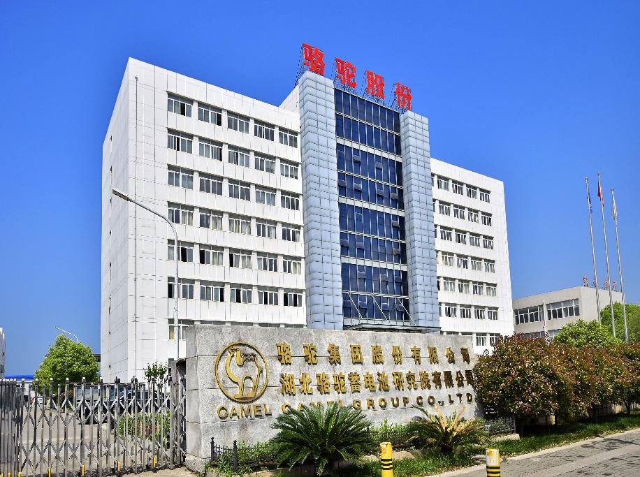 刘长来和骆驼股份,骆驼股份董事长刘长来福布斯