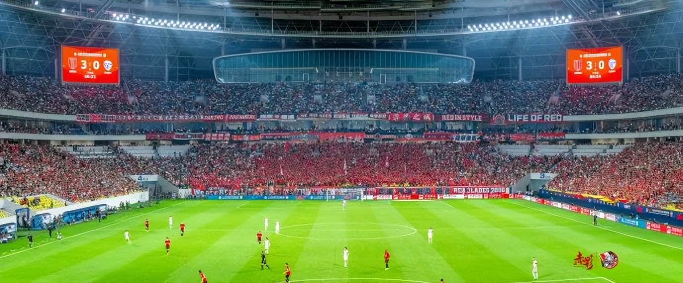 成都蓉城2-1上海海港主场氛围,成都蓉城足球队阵容解析