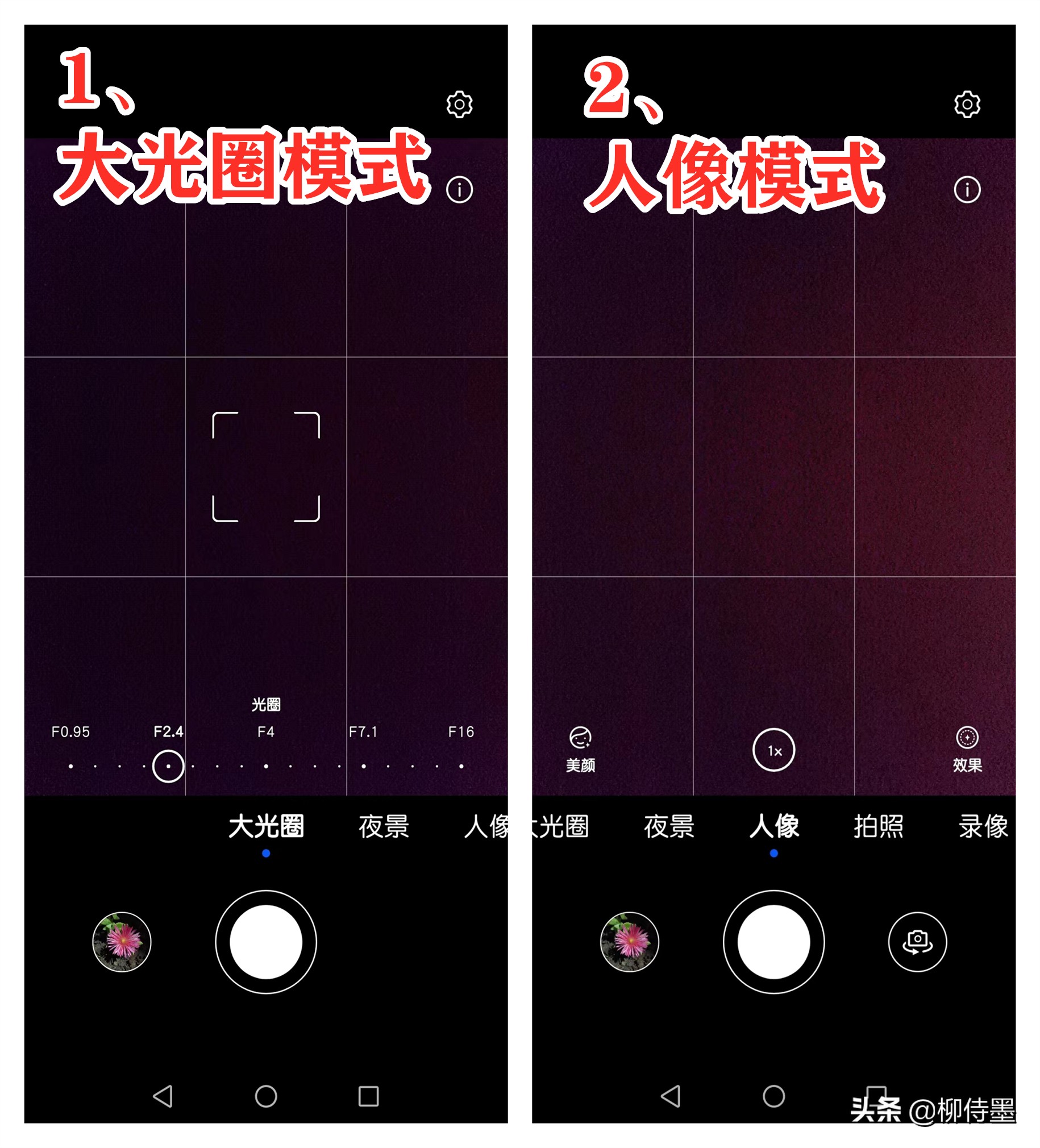 如何拍出有情感的荷花摄影作品,荷花照片怎么拍出高级感
