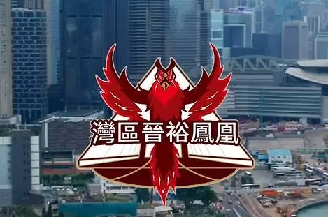 湾区翼龙队东超,湾区翼龙联赛表现