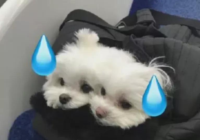 内衣周刊｜都市新感觉：对不起，保暖内衣！是我错怪了你