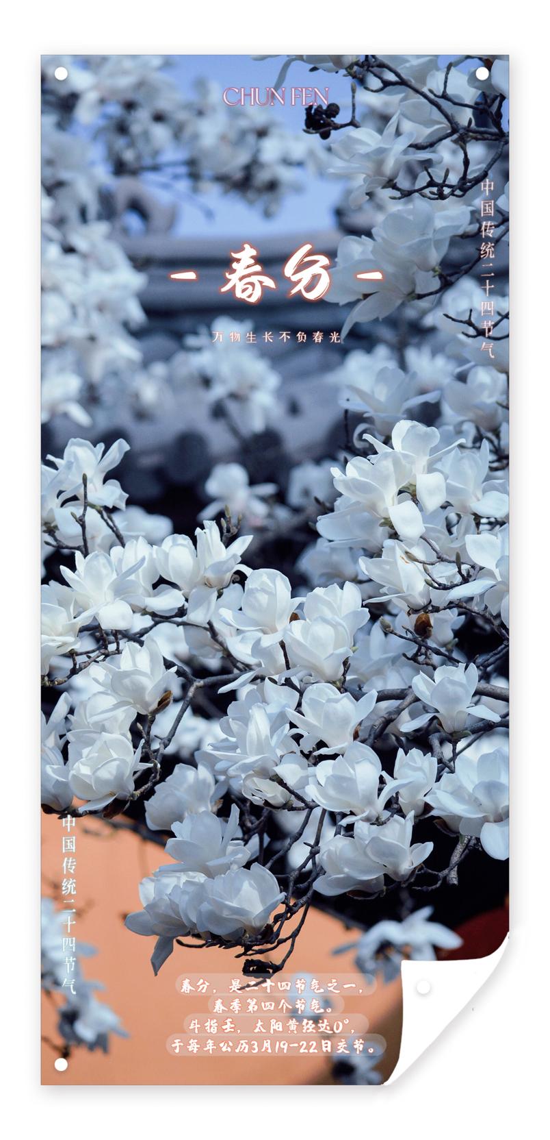 日月阳阴两均天，春半春生恰春分——春分，阴阳相半的智慧