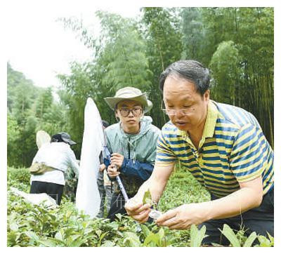 同绘美丽画卷共享生态福祉