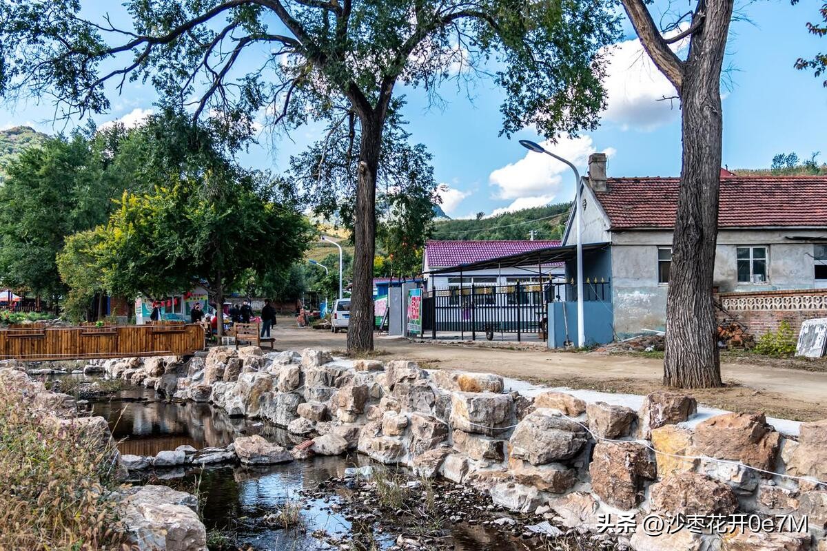 行走的青春免费观看完整版,小说行走的青春