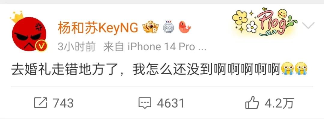 邓典果结婚，杨和苏上热搜，参加婚礼跑错地方了，引来群嘲。