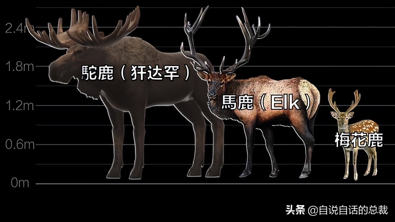 超级血液代表着什么,超级血液是啥