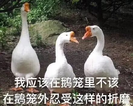 中国暴打日本人,中国鳗鱼咬人事件