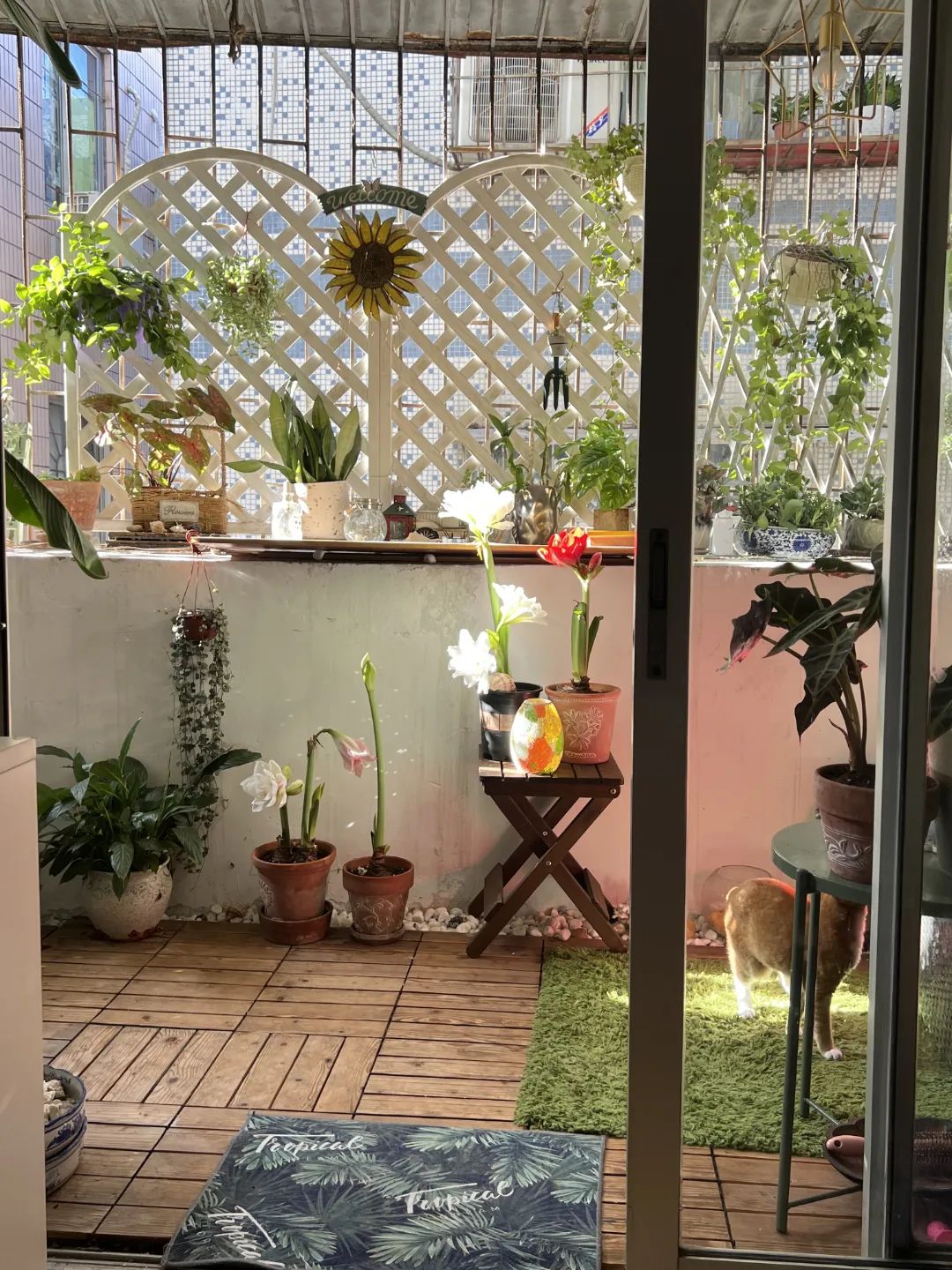 很多人羡慕的阳台,让别人羡慕的阳台