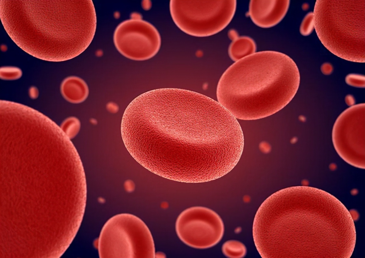 肌酐高引起的贫血怎么治疗,男子体检肌酐高