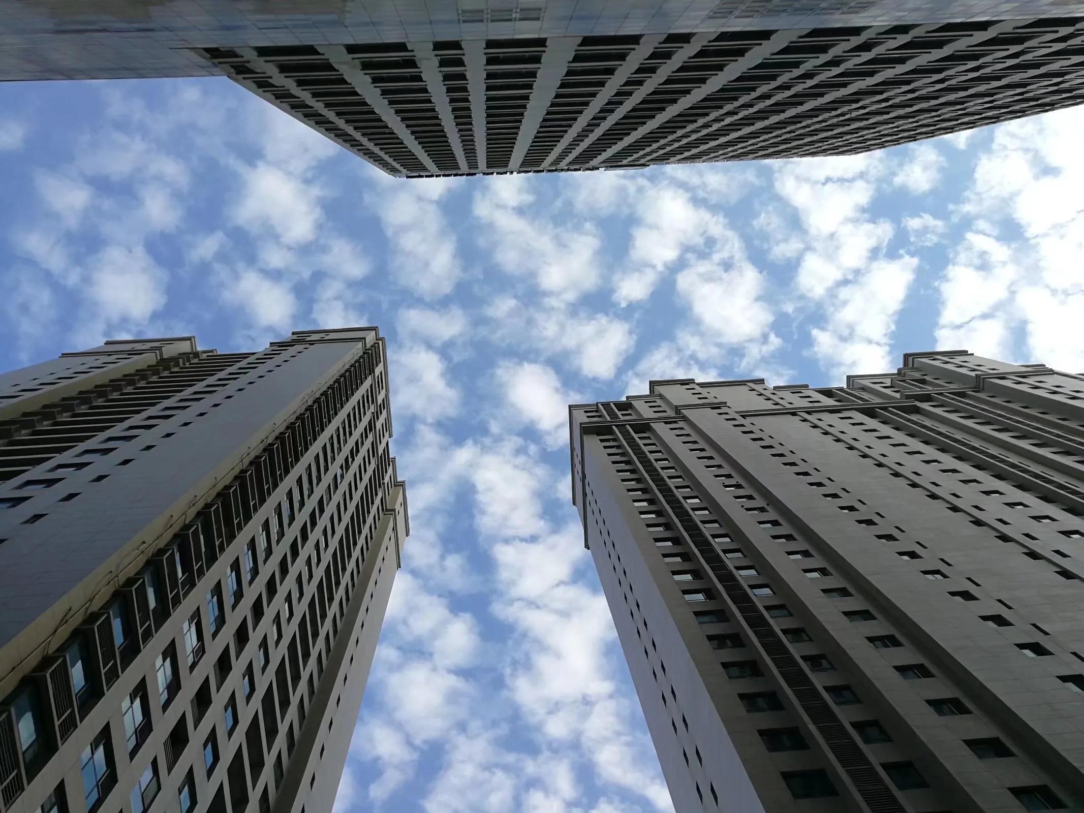 我在他乡挺好的下载,我在他乡挺好的简总