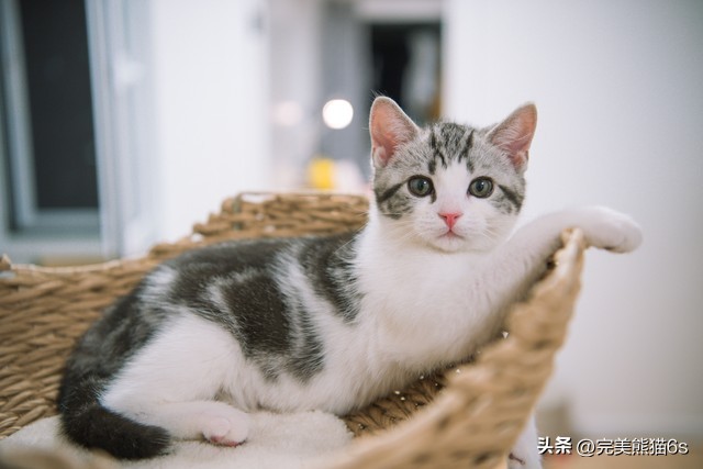 给你讲个睡前小故事吧,给你讲个睡前小故事