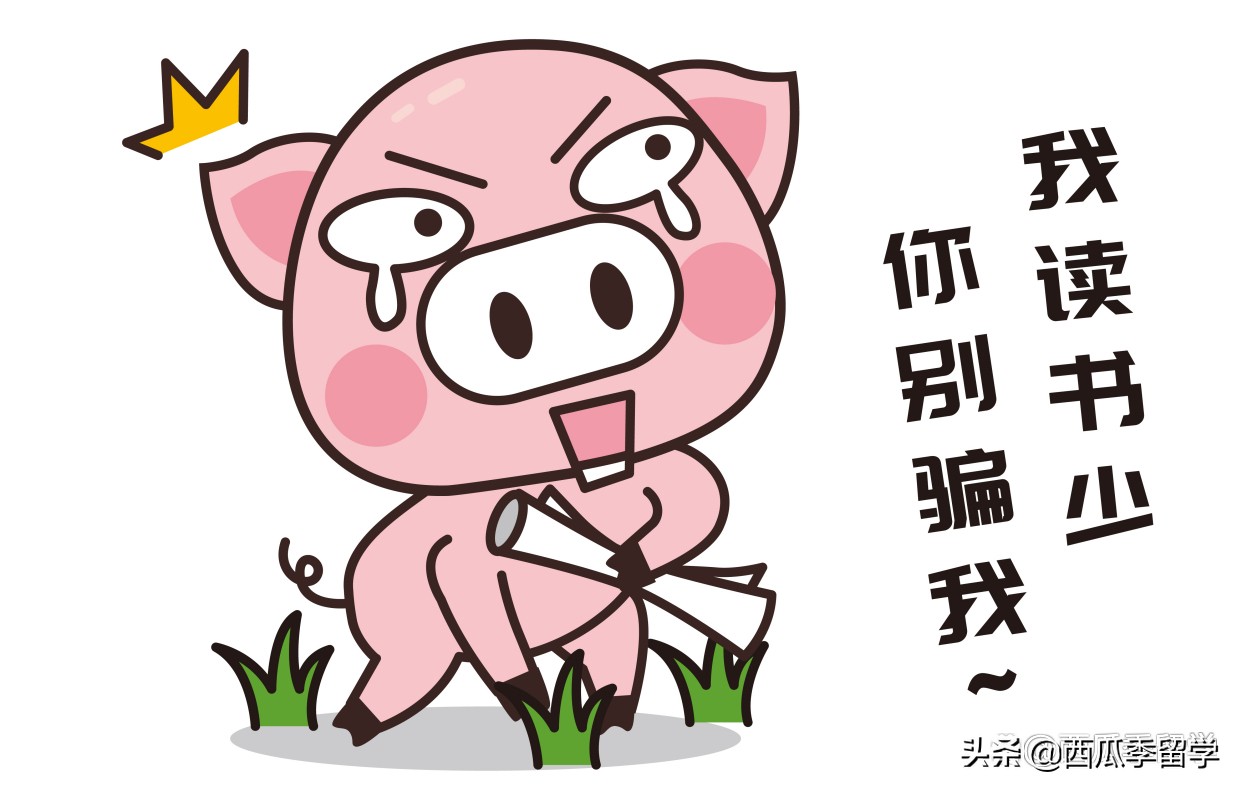 揭露‘黑心’留学中介的套路有哪些？教你如何有效避坑