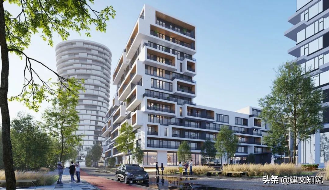 waf2023世锦赛,waf国内排名