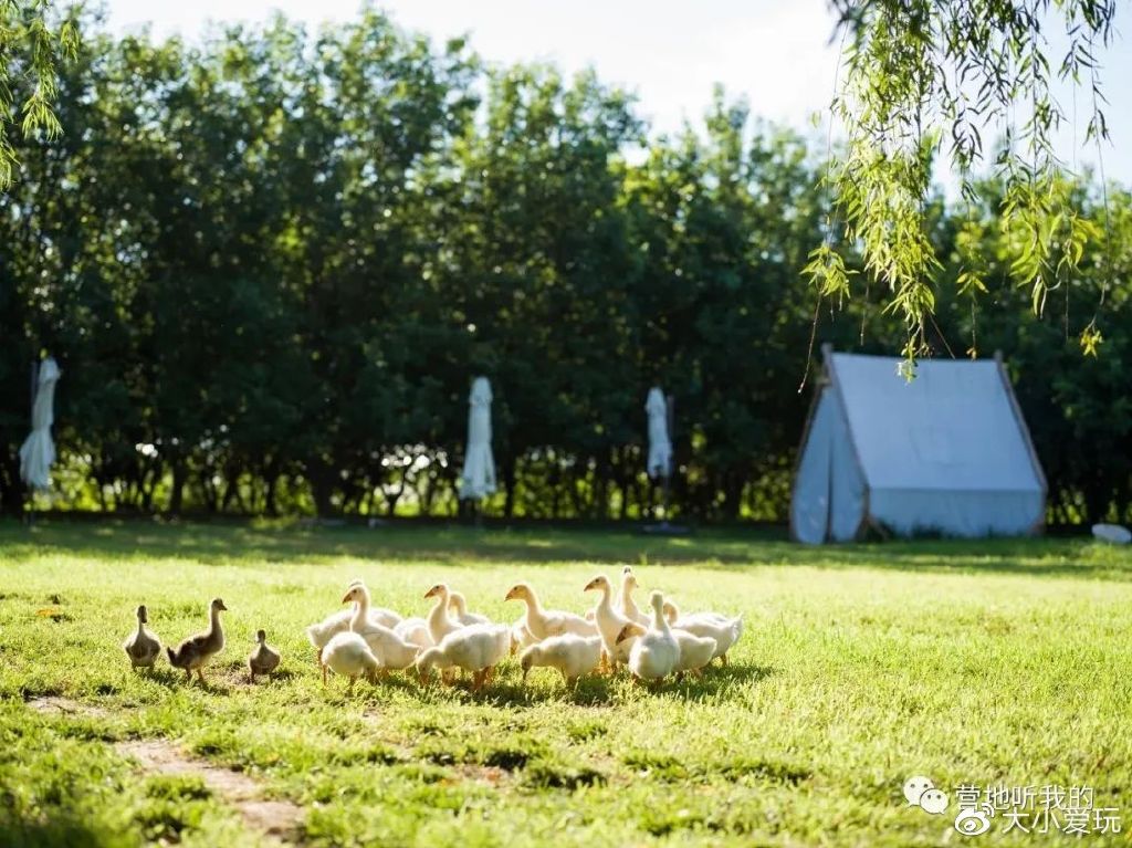 北京适合孩子玩的农场,一年四季都可以去的亲子农场
