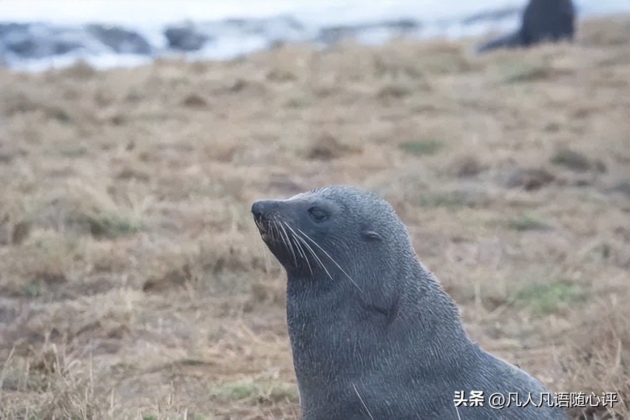 游记分享推送,游记分享我的旅行日记