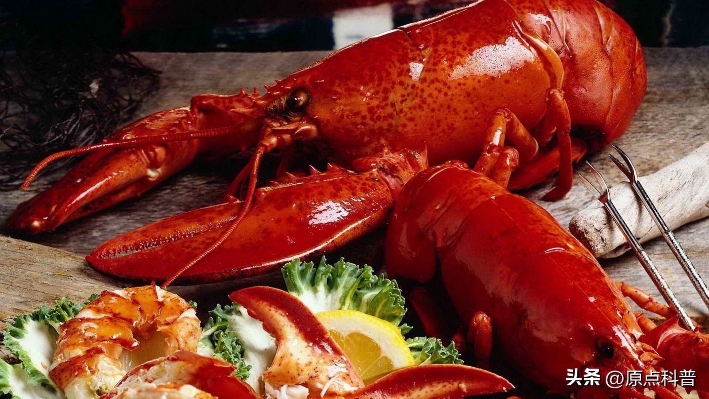 全球十大海鲜城市排名,看大海吃海鲜有哪些地方