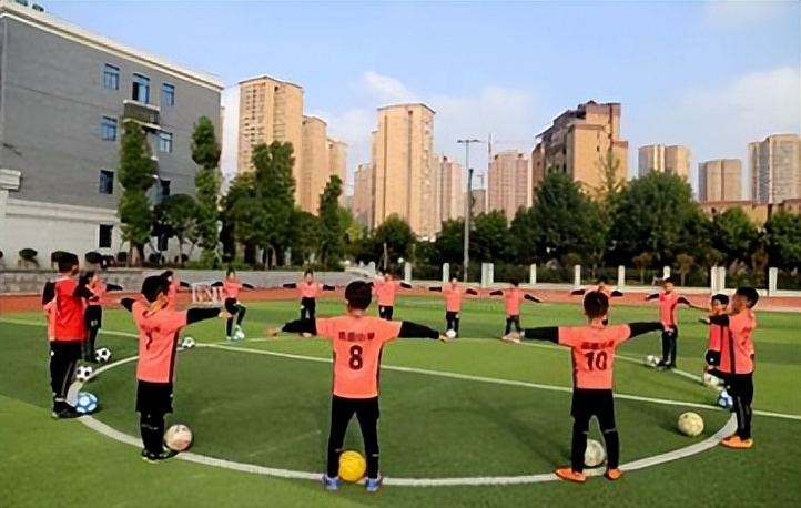 高志丹谈足球领域问题,高志丹重振中国足球