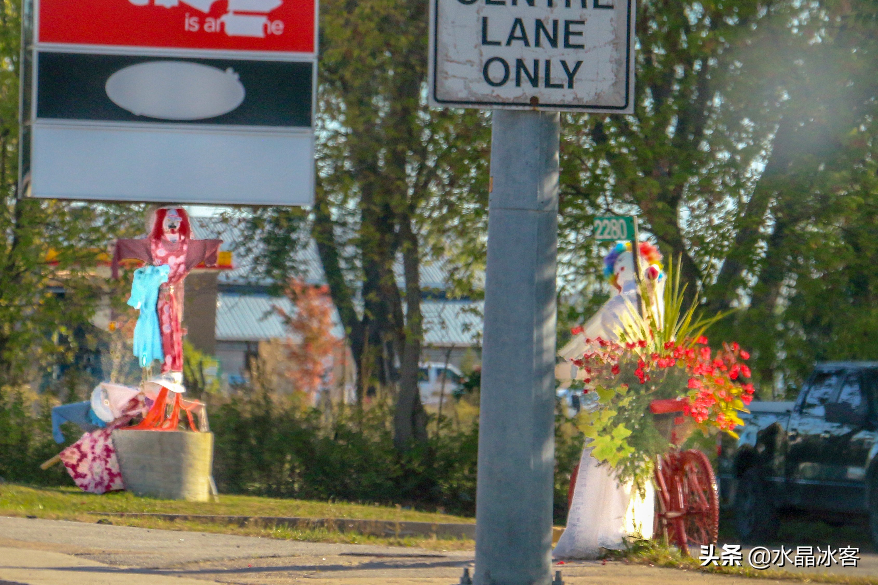 美东加东旅游,美东加东
