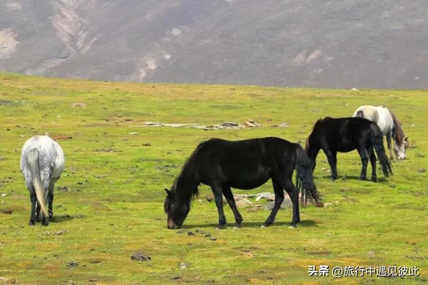 青海贵南旅游攻略,贵德小江南
