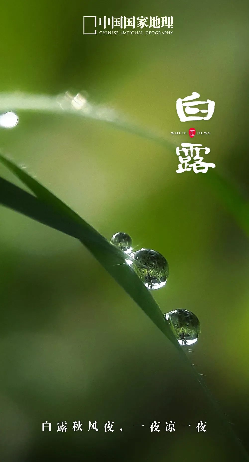 365天最美24节气图诞生惊艳国人,这组24节气图太美了