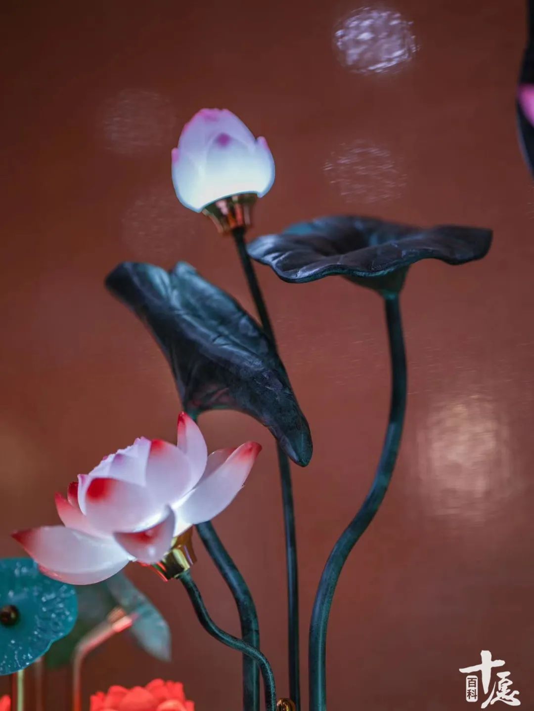 中国佛教历史文化名词解释,佛教名词大开圆解的意思