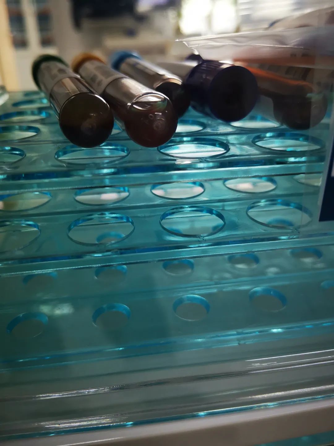 周薪上万，职业试药人用命换钱