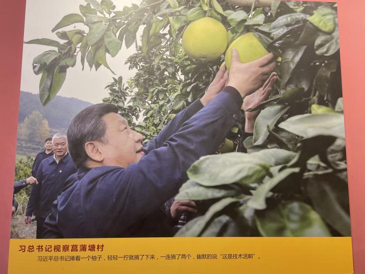 【十年·足迹】总书记与那些“瓜果飘香”