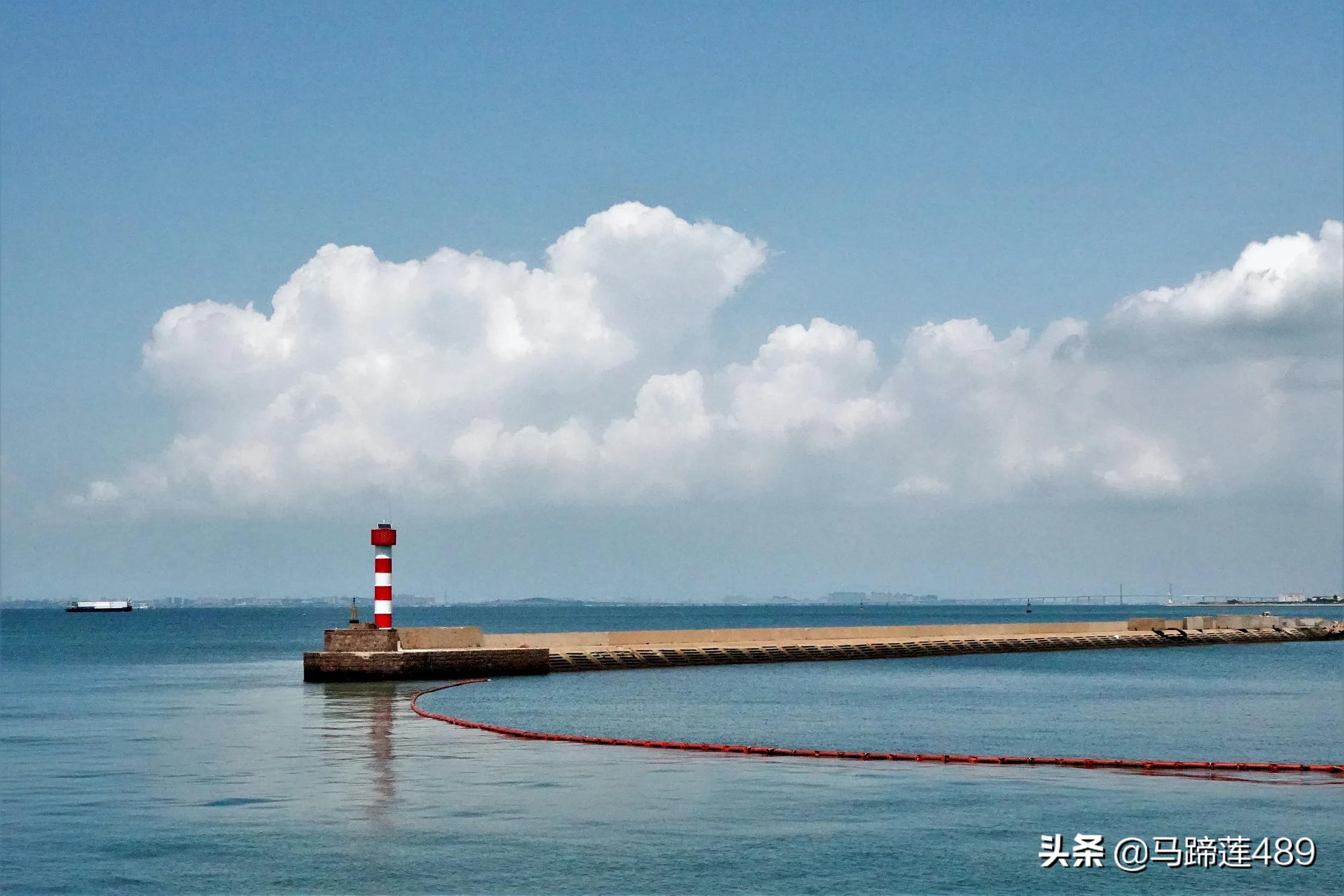 青岛金茂湾,青岛金茂湾地址