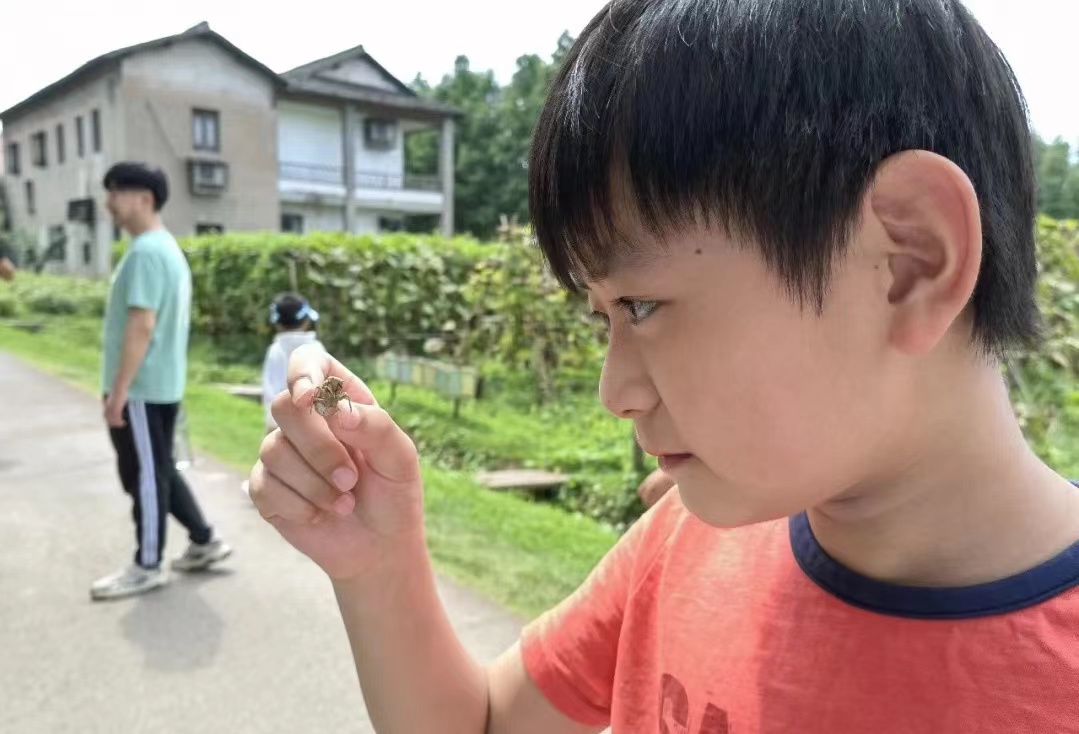 终于去了“中国本土版ClubMed”,乌村也太好玩了吧