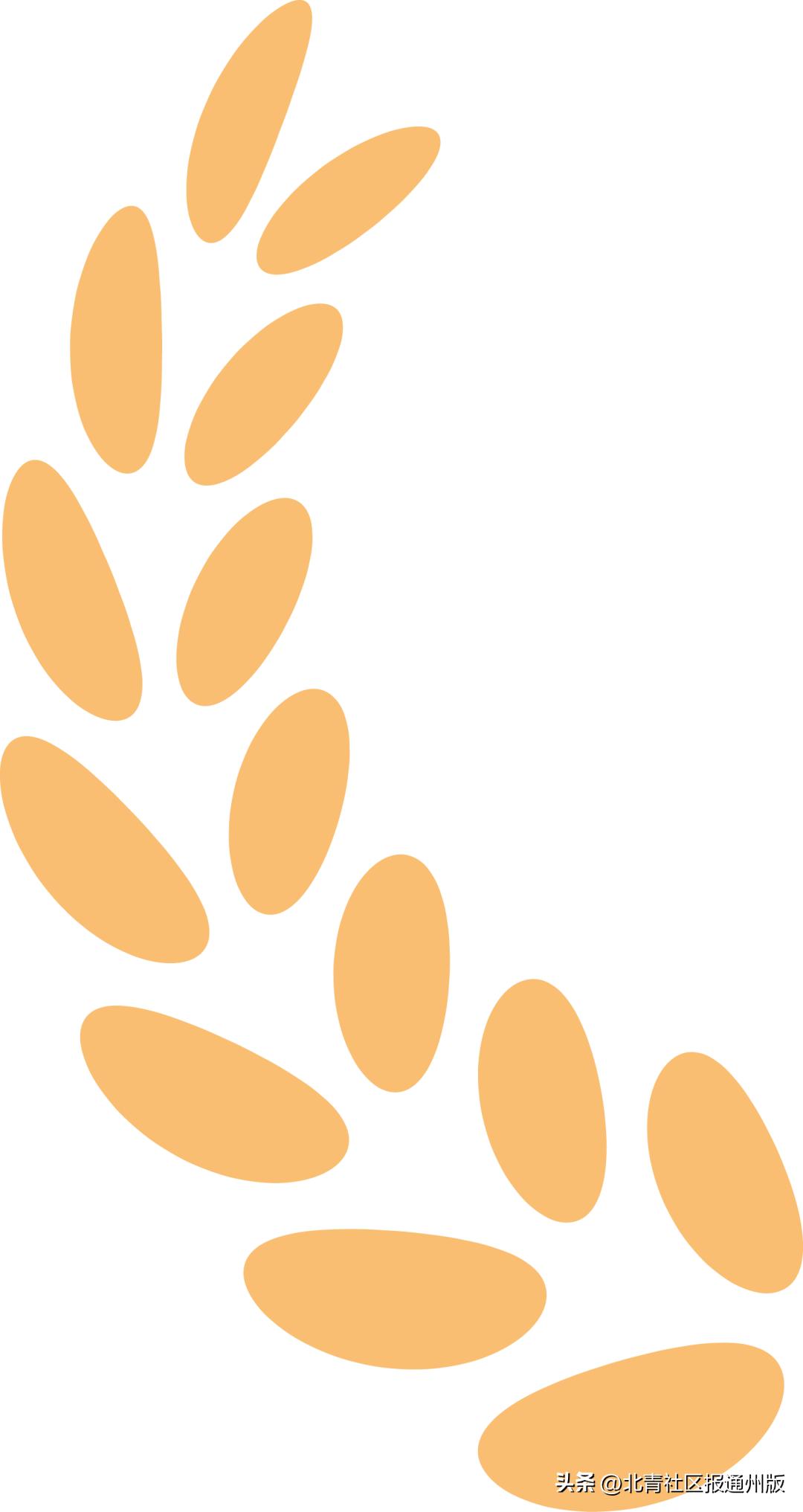 东关小学迎新生,关注小学升初中