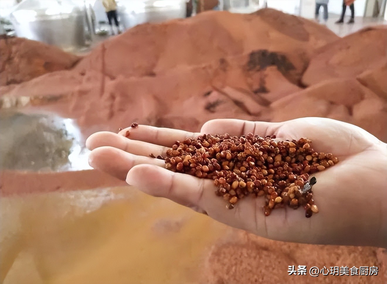 超市里4种不起眼的廉价白酒,超市不起眼的廉价酒