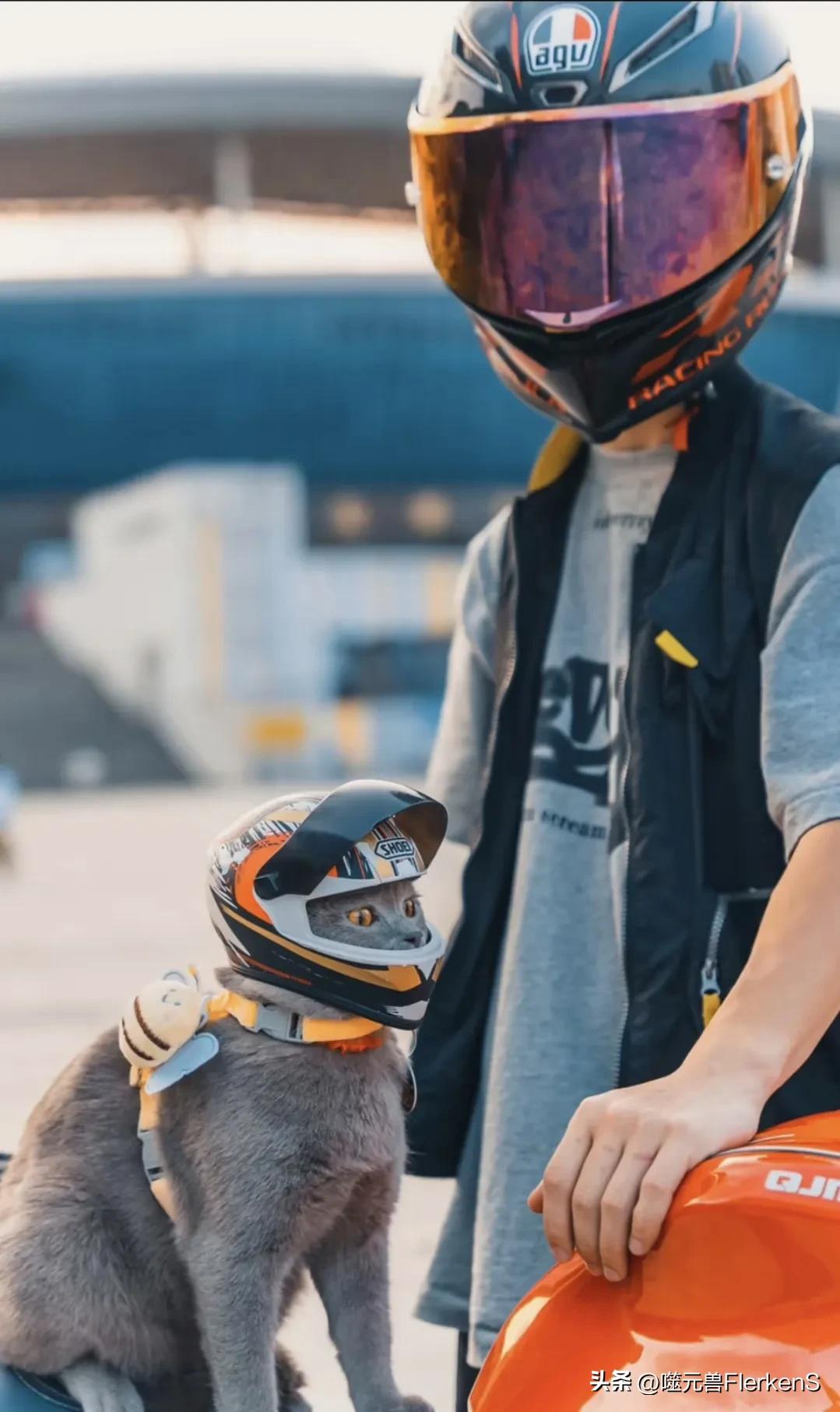 数据驱动决策好学吗,数据驱动的决策支持的科学性