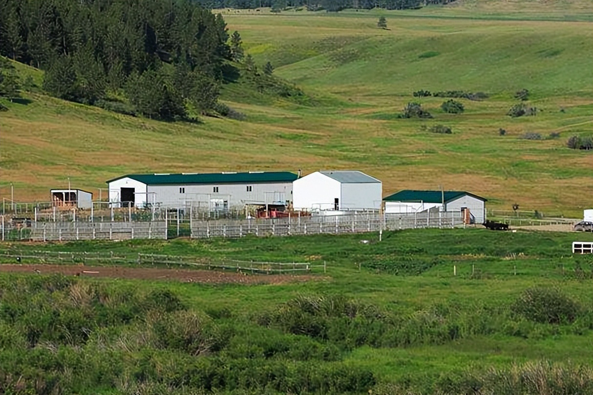 清空所有美债,清空美债是什么意思