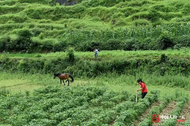 贵州真正的桃花源,中国真实桃花源
